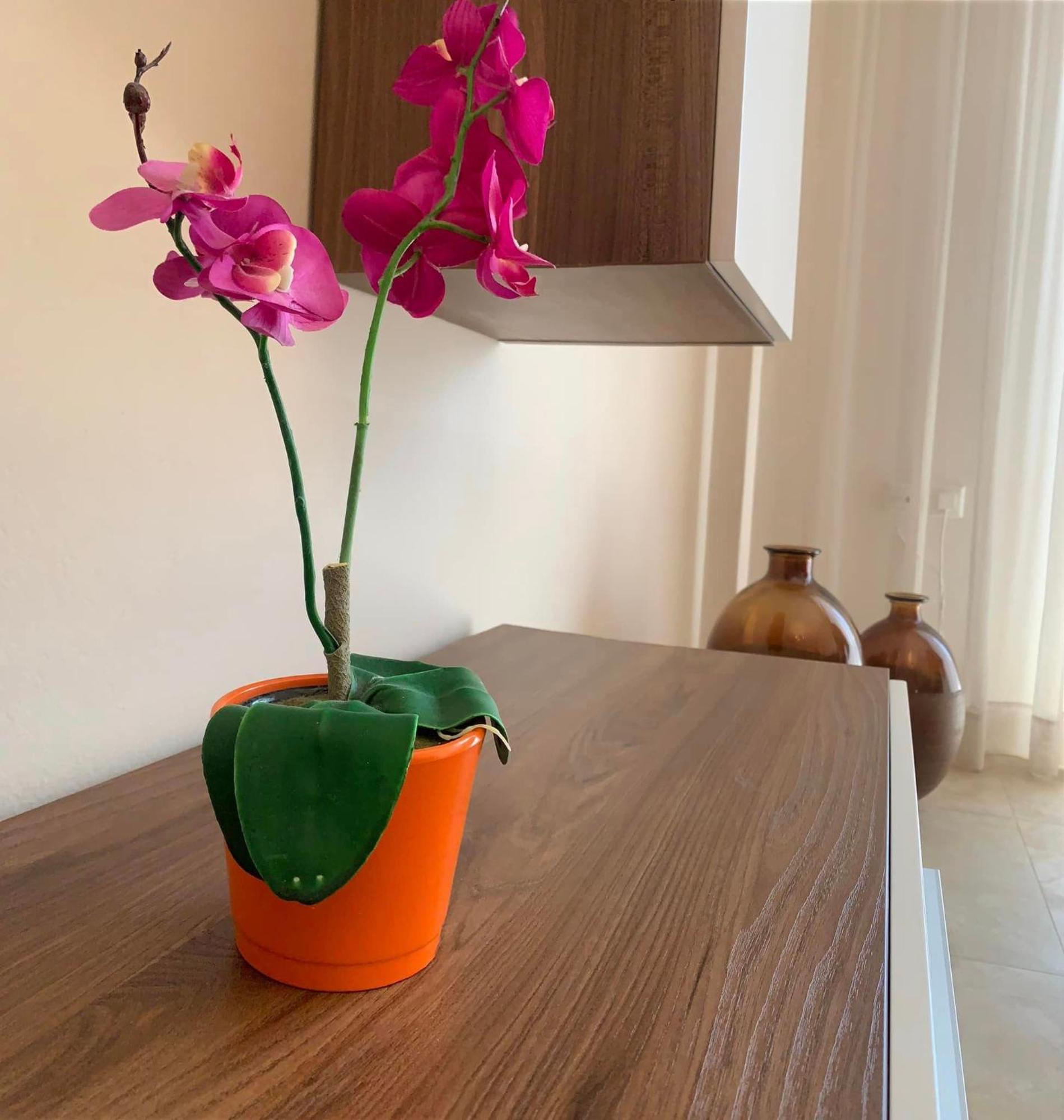 Αpartments Anna Deluxe Apartment Кавала Екстериор снимка